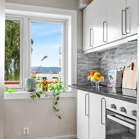 Cozy Close To Center With Free Parking And Balcony Oslo