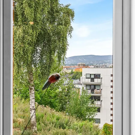 Cozy Close To Center With Free Parking And Balcony Apartment *